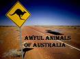 Awful animals of Australia PowerPoint PPT Presentation