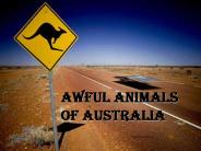 Awful animals of Australia