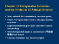 Chapter 19 Comparative Genomics and the Evolution of Animal Diversity PowerPoint PPT Presentation