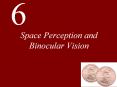 Space Perception and Binocular Vision PowerPoint PPT Presentation