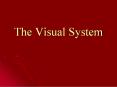 The Visual System PowerPoint PPT Presentation