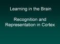 Learning in the Brain Recognition and Representation in Cortex PowerPoint PPT Presentation