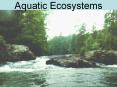 Aquatic Ecosystems PowerPoint PPT Presentation