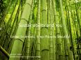 Sustainability and You PowerPoint PPT Presentation