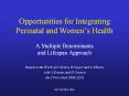 Opportunities for Integrating Perinatal and Women PowerPoint PPT Presentation