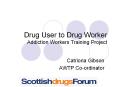 Drug User to Drug Worker Addiction Workers Training Project PowerPoint PPT Presentation