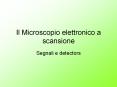 Il Microscopio elettronico a scansione PowerPoint PPT Presentation