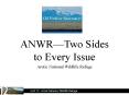 ANWR PowerPoint PPT Presentation