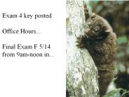 Exam 4 key posted