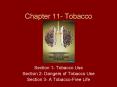 Chapter 11- Tobacco PowerPoint PPT Presentation