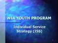 WIA YOUTH PROGRAM PowerPoint PPT Presentation