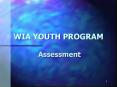 WIA YOUTH PROGRAM PowerPoint PPT Presentation