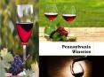Pennsylvania Wineries PowerPoint PPT Presentation