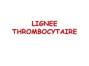 LIGNEE THROMBOCYTAIRE