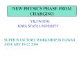 NEW PHYSICS PHASE FROM CHARGINO PowerPoint PPT Presentation