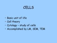 CELLS
