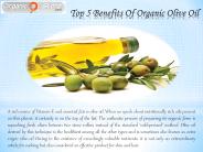 Top 5 Benefits Of Organic Olive Oil