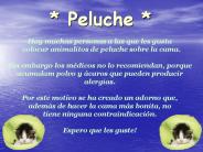 AG2- Peluche