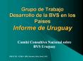 Grupo de Trabajo Desarrollo de la BVS en los Pa PowerPoint PPT Presentation