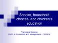 Shocks, household choices, and children PowerPoint PPT Presentation