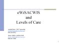eWiSACWIS and Levels of Care PowerPoint PPT Presentation