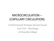 MICROCIRCULATION 