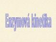 Enzymov PowerPoint PPT Presentation