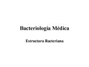 Bacteriolog