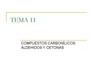 TEMA 11