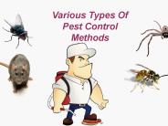 Various Types Of Pest Control Methods