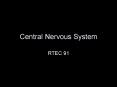 Central Nervous System PowerPoint PPT Presentation