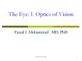 The Eye: I. Optics of Vision PowerPoint PPT Presentation
