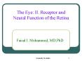 The Eye: II. Receptor and Neural Function of the Retina PowerPoint PPT Presentation