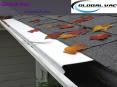 Leaf guard Brisbane PowerPoint PPT Presentation