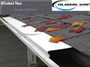 Leaf guard Gold Coast (1)