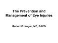The Prevention and Management of Eye Injuries PowerPoint PPT Presentation