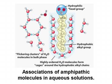Associations of amphipathic molecules in aqueous solutions.