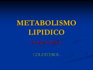 METABOLISMO LIPIDICO