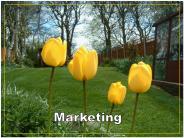 MARKETING Y ACTITUD