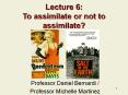 Lecture 6:  To assimilate or not to assimilate? PowerPoint PPT Presentation