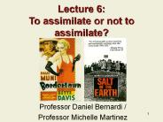 Lecture 6:  To assimilate or not to assimilate?