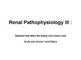 Renal Pathophysiology III : PowerPoint PPT Presentation
