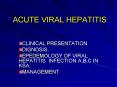 ACUTE VIRAL HEPATITIS PowerPoint PPT Presentation