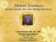 Flower Essences: Gentle Guides for Our Daily Journeys PowerPoint PPT Presentation
