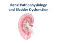 Renal II: Renal Failure and Bladder Function PowerPoint PPT Presentation