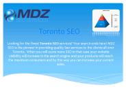 Toronto SEO