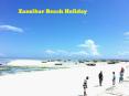 Zanzibar Beach Holiday PowerPoint PPT Presentation