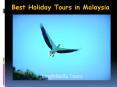 Best Holiday Tours in Malaysia PowerPoint PPT Presentation