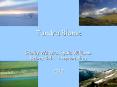 Tundra Biome PowerPoint PPT Presentation