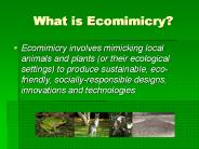 What is Ecomimicry?